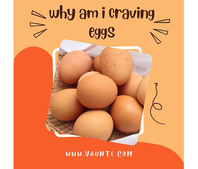 Why Am I Craving Eggs? [ All FAQs Explained]