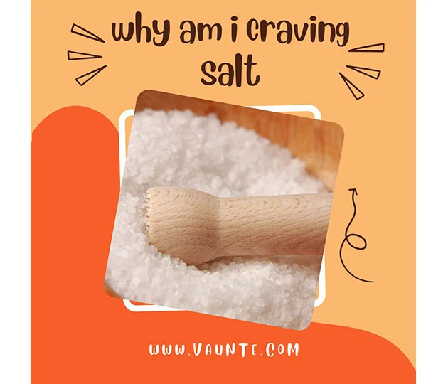 Why Am I Craving Salt? What To Eat When Craving Salt? VAUNTE