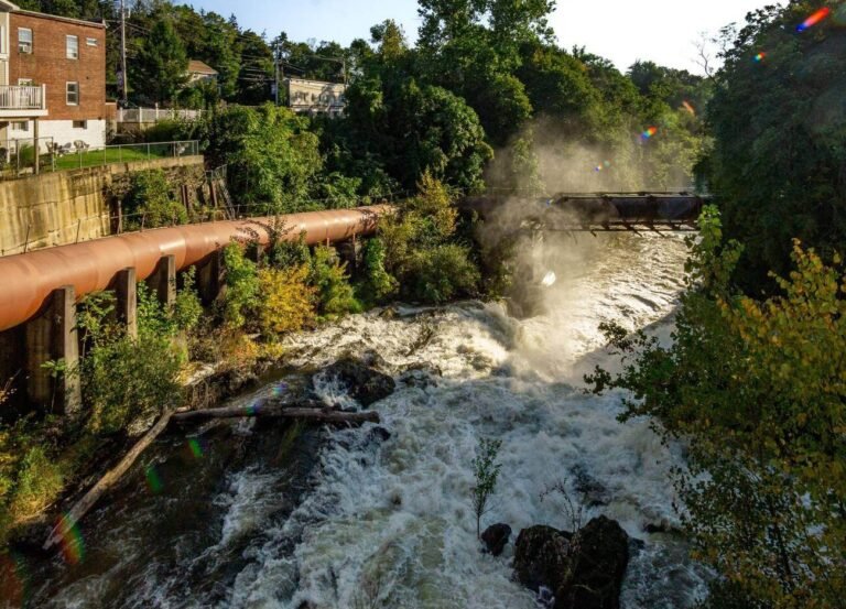 Harold Ayra Wappingers Falls NY | Life Story